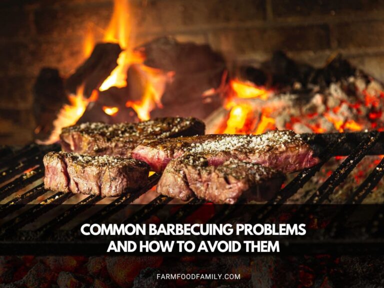 Common Barbecuing Problems and How to Avoid Them
