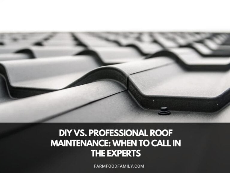DIY vs. Professional Roof Maintenance: When to Call in the Experts