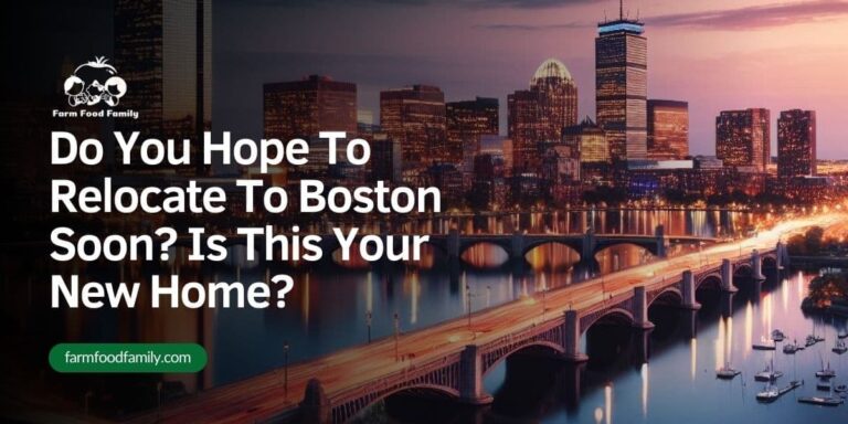 Do You Hope To Relocate To Boston Soon? Is This Your New Home? Welcome!