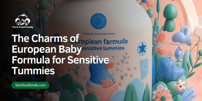 The Charms of European Baby Formula for Sensitive Tummies