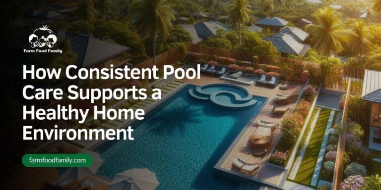 How Consistent Pool Care Supports a Healthy Home Environment