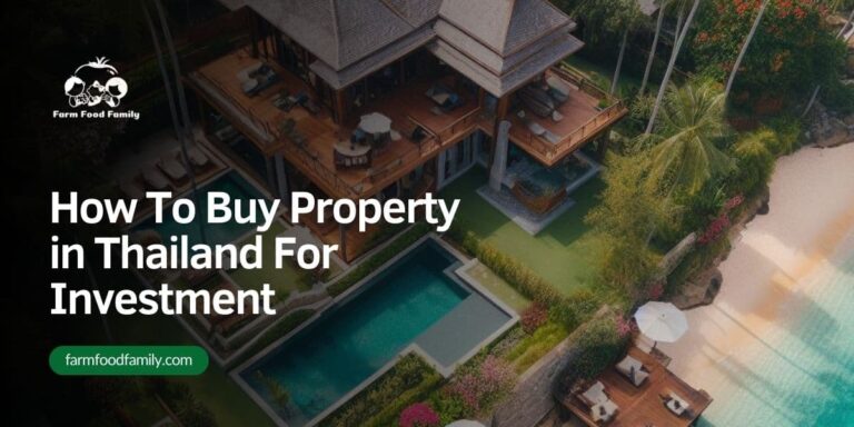 How To Buy Property in Thailand For Investment
