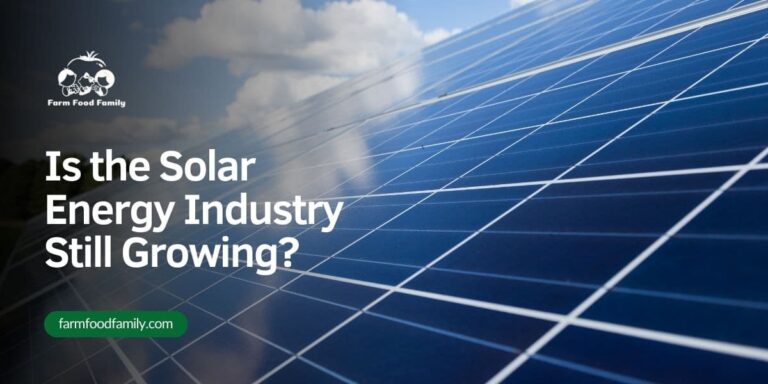 Is the Solar Energy Industry Still Growing? 5 Things Solar Service Providers Should Know