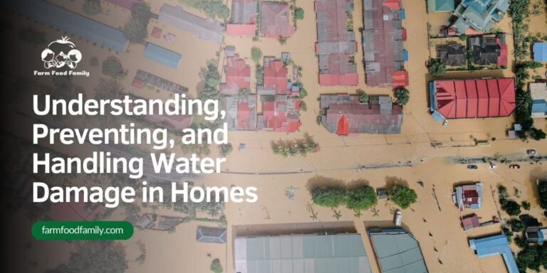 Understanding, Preventing, and Handling Water Damage in Homes