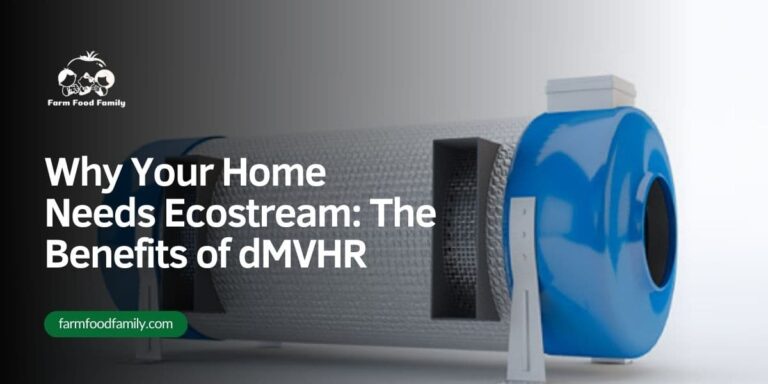 Why Your Home Needs Ecostream: The Benefits of dMVHR