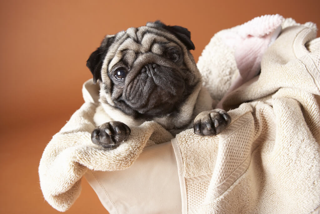 Let go the dryer sheets and use more absorbent towels 