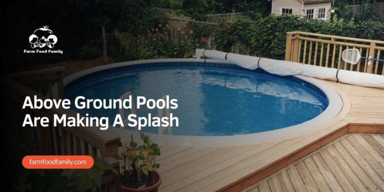 Above Ground Pools Are Making A Splash