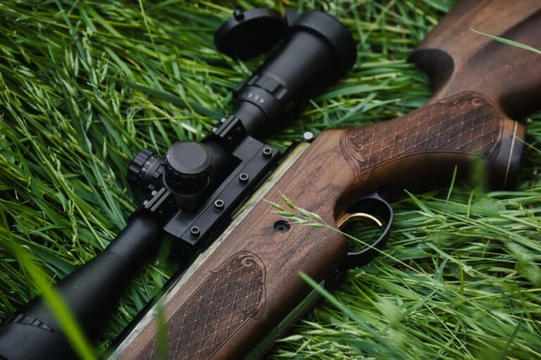 Important Things to Consider Before Buying an Air Gun