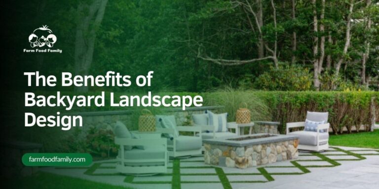 Top 5 Benefits of Backyard Landscape Design