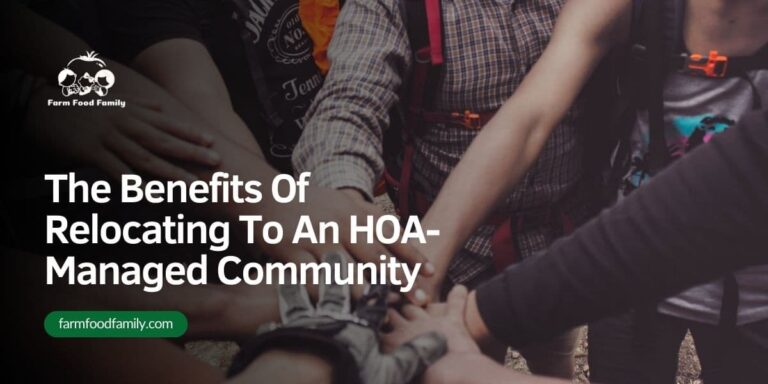 The Benefits Of Relocating To An HOA-Managed Community