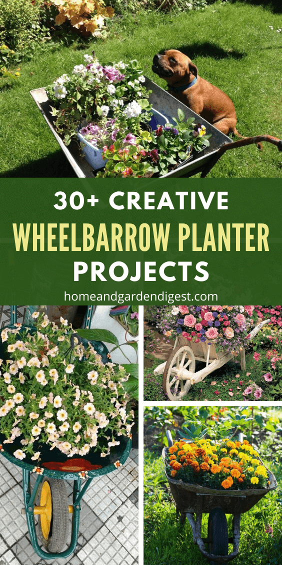 30+ Creative DIY WheelBarrow Garden Projects