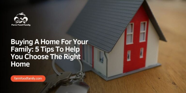 Buying A Home For Your Family: 5 Tips To Help You Choose The Right Home
