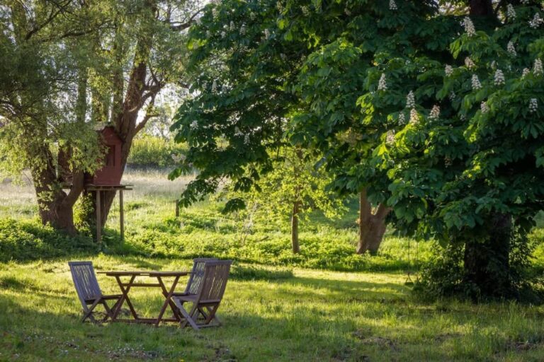 Great Ways To Make Your Outdoor Space More Functional