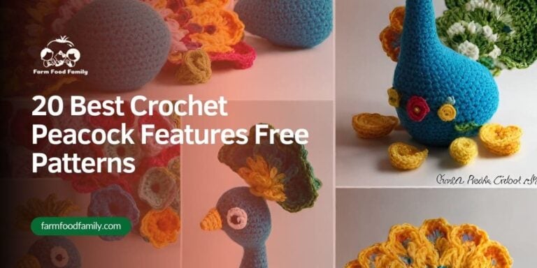 20 Best Crochet Peacock Feather Free Patterns for 2026