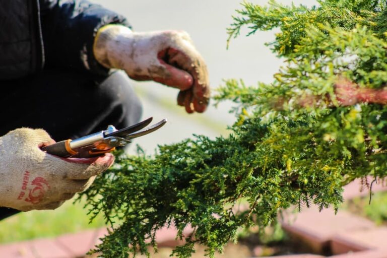 4 Gardening Tips For A Greener Environment