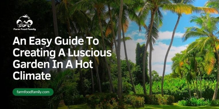 An Easy Guide To Creating A Luscious Garden In A Hot Climate