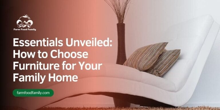 Essentials Unveiled: How to Choose Furniture for Your Family Home