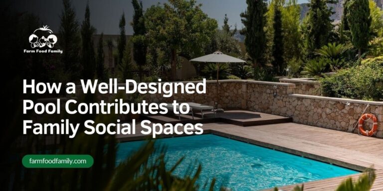 How a Well-Designed Pool Contributes to Family Social Spaces
