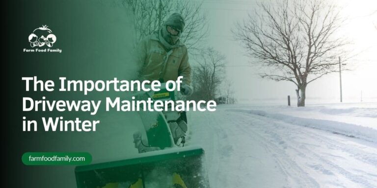 The Importance of Driveway Maintenance in Winter