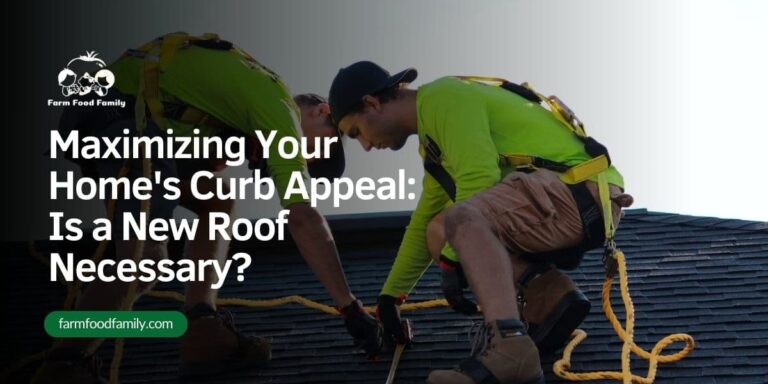 Maximizing Your Home’s Curb Appeal: Is a New Roof Necessary?
