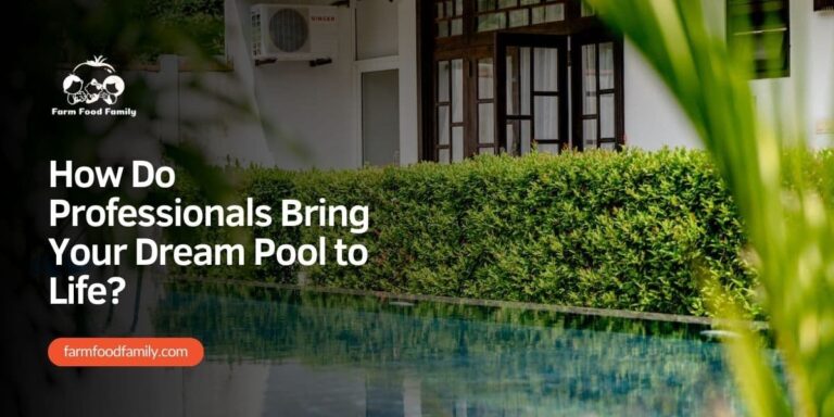 How Do Professionals Bring Your Dream Pool to Life?