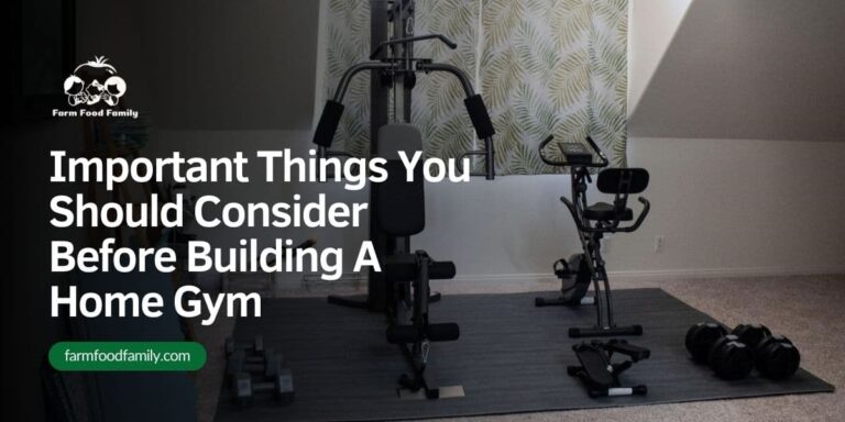 Important Things You Should Consider Before Building A Home Gym