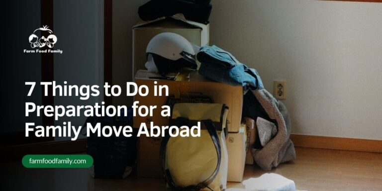 7 Things to Do in Preparation for a Family Move Abroad