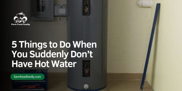 5 Things to Do When You Suddenly Don’t Have Hot Water