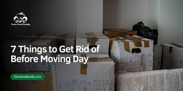 7 Things to Get Rid of Before Moving Day