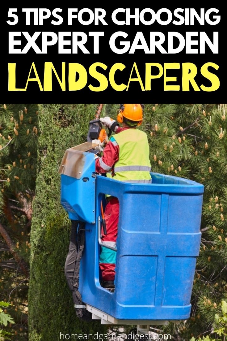 5 Tips For Choosing Expert Garden Landscapers