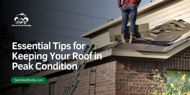 Essential Tips for Keeping Your Roof in Peak Condition