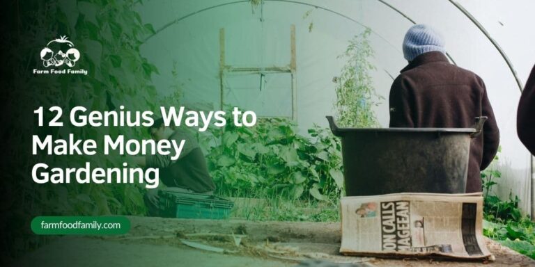 12 Genius Ways to Make Money Gardening