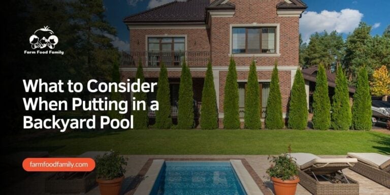 What to Consider When Putting in a Backyard Pool