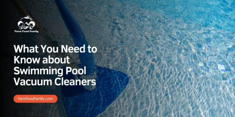 What You Need to Know about Swimming Pool Vacuum Cleaners