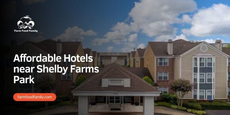 Exploring Comfort on a Budget: Affordable Hotels near Shelby Farms Park