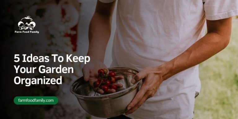 5 Ideas To Keep Your Garden Organized