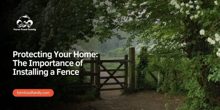 Protecting Your Home: The Importance of Installing a Fence