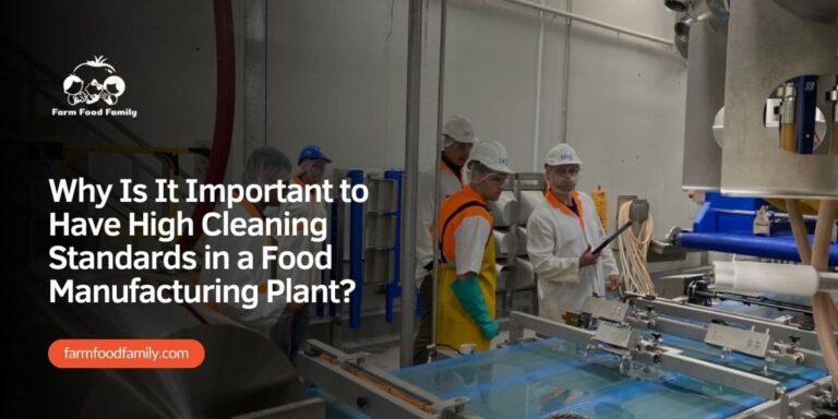 Why Is It Important to Have High Cleaning Standards in a Food Manufacturing Plant?