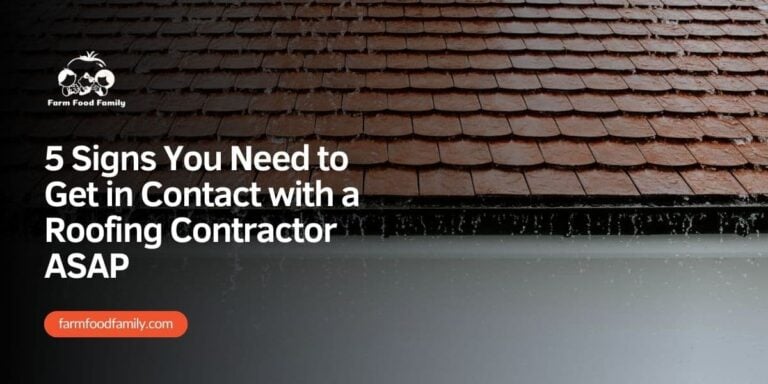5 Signs You Need to Get in Contact with a Roofing Contractor ASAP