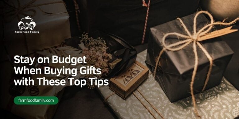Stay on Budget When Buying Gifts with These Top Tips