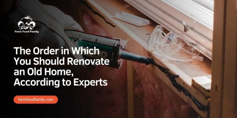 The Order in Which You Should Renovate an Old Home, According to Experts