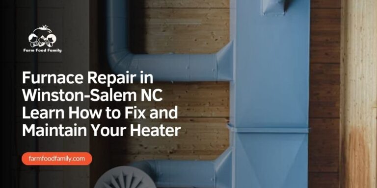 Furnace Repair in Winston-Salem NC | Learn How to Fix and Maintain Your Heater
