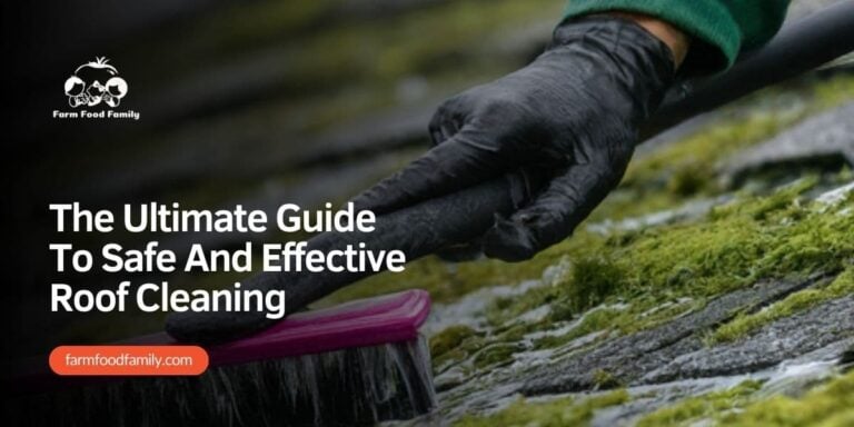 The Ultimate Guide To Safe And Effective Roof Cleaning