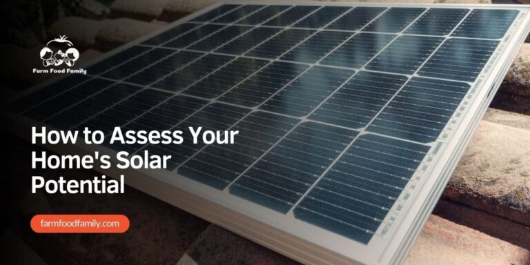 How to Assess Your Home’s Solar Potential