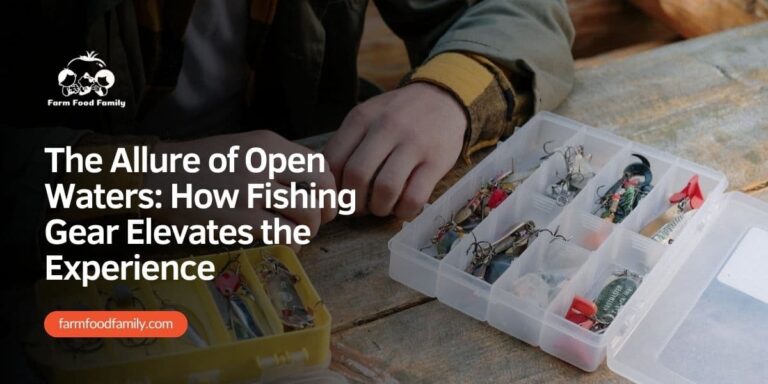 The Allure of Open Waters: How Fishing Gear Elevates the Experience