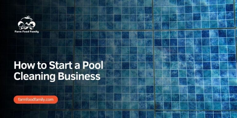 How to Start a Pool Cleaning Business