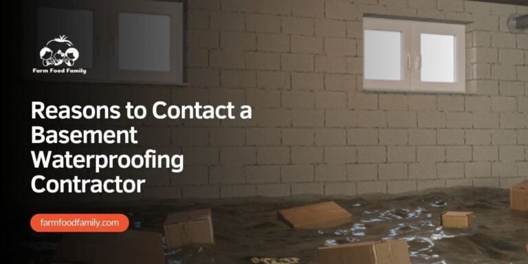 Reasons to Contact a Basement Waterproofing Contractor