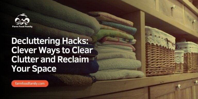 Decluttering Hacks: Clever Ways to Clear Clutter and Reclaim Your Space