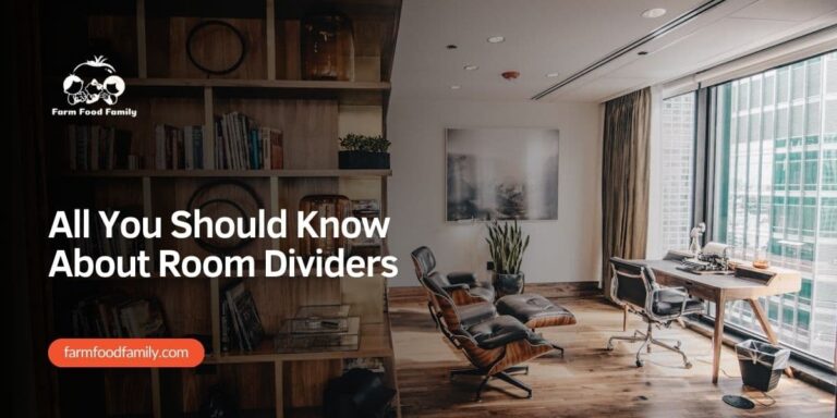 All You Should Know About Room Dividers