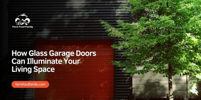 Designing With Light: How Glass Garage Doors Can Illuminate Your Living Space